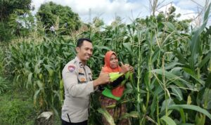 Pekarangan Produktif, Desa Aman: Inisiatif Ketahanan Pangan Bhabinkamtibmas Labuapi