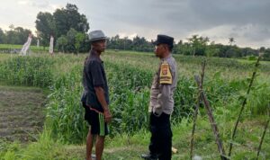 Polri Bina Petani Kuripan Utara Wujudkan Kemandirian Pangan Keluarga