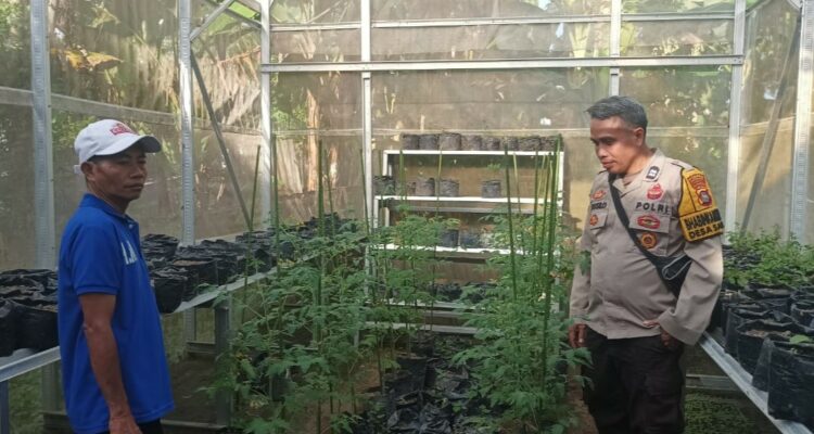 Sinergi Polsek Batulayar dan Warga untuk Pangan Mandiri