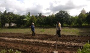 Bhabinkamtibmas Kediri Dorong Ketahanan Pangan di Plowok Selatan