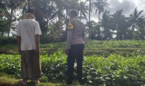 Polisi Ajak Warga Mareje Tanam Pangan Sendiri
