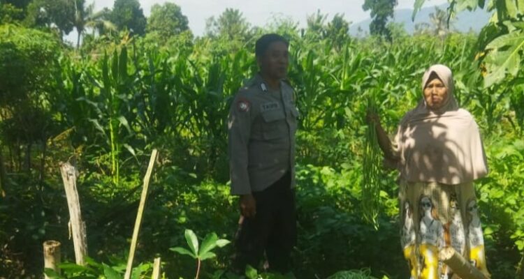 Pendekatan Humanis Polri di Sawah Karang Kuripan: Wujudkan Pangan Aman