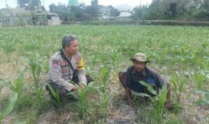 Dorong Ketahanan Pangan, Bhabinkamtibmas Desa Sandik Ajak Warga Manfaatkan Pekarangan