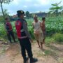 Polres Lobar Kawal Petani Wujudkan Ketahanan Pangan Nasional
