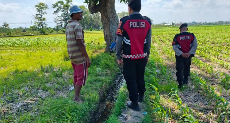 Polres Lombok Barat Pantau Lahan Jagung di Desa Tempos untuk Dukung Swasembada Pangan