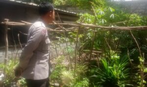 Kunjungan Humanis Bhabinkamtibmas, Ajak Warga Manfaatkan Lahan Pekarangan untuk Ketahanan Pangan