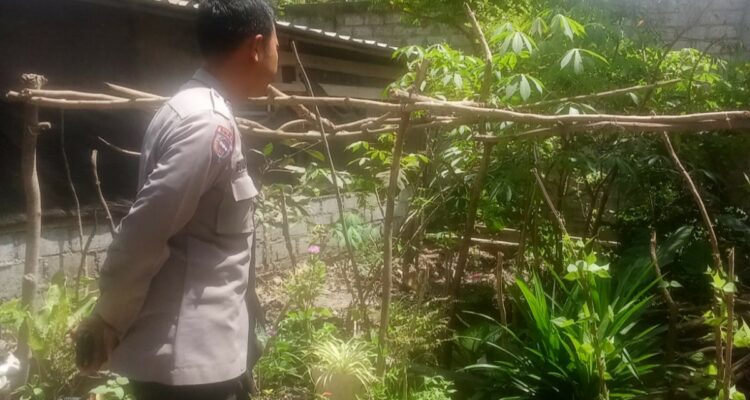 Kunjungan Humanis Bhabinkamtibmas, Ajak Warga Manfaatkan Lahan Pekarangan untuk Ketahanan Pangan