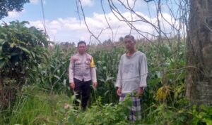 Polri Hadir Bantu Petani Jagaraga Tingkatkan Produktivitas Lahan Pertanian