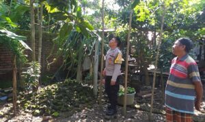 Polsek Kuripan Gandeng Warga Dusun Beremi Tingkatkan Kemandirian Pangan