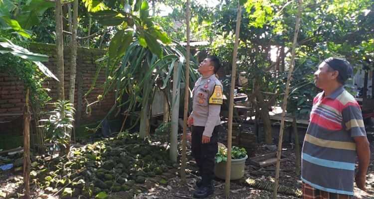 Polsek Kuripan Gandeng Warga Dusun Beremi Tingkatkan Kemandirian Pangan