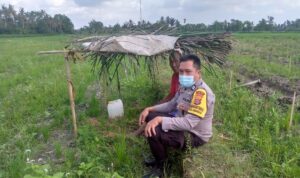 Sinergi Polri dan Petani di Dusun Tambang Eleh, Lombok Barat Wujudkan Desa Mandiri Pangan