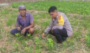 Sinergi Polri dan Warga Kuranji Dorong Desa Mandiri Pangan