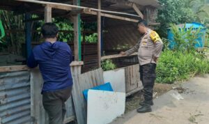 Sinergi Polri dan Warga Senggigi, Tanam Sayuran di Lahan Kosong untuk Perkuat Ekonomi Keluarga