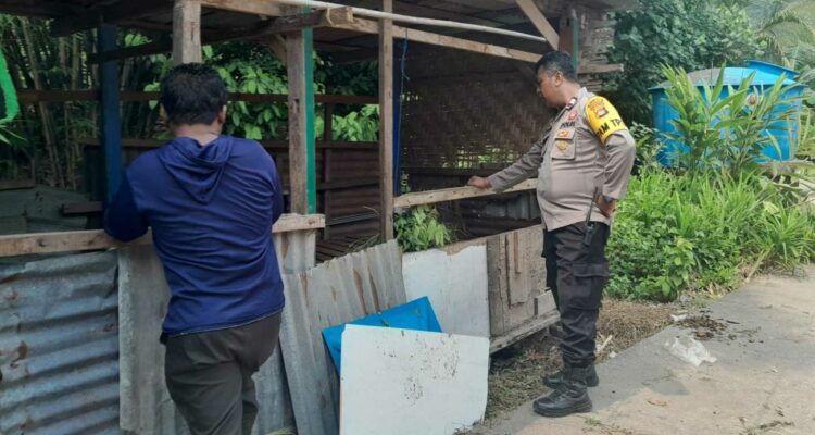 Sinergi Polri dan Warga Senggigi, Tanam Sayuran di Lahan Kosong untuk Perkuat Ekonomi Keluarga