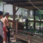 Warga Dusun Melase Antusias Sambut Program Pertanian Pekarangan yang Digagas Polsek Batulayar
