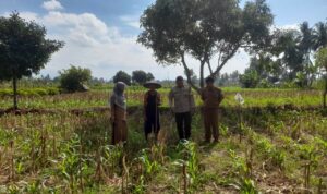Bhabinkamtibmas, PPL, Desa Gelogor, Kediri Lombok Barat, ketahanan pangan