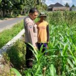 Kepolisian Kediri Bina Petani Jagung Gelogor, Perkuat Ekonomi dan Pangan Lokal