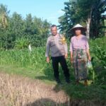 Kunjungan Humanis Bhabinkamtibmas di Kuranji, Pekarangan Jadi Sumber Pangan