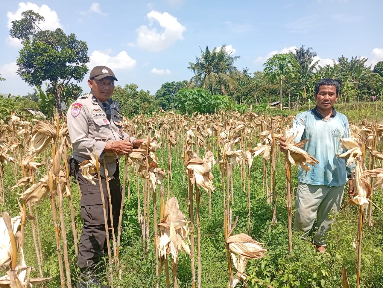 WhatsApp Image 2025-09-25 at 13.09.39 Situasi Desa Merembu Kondusif, Polisi Ajak Warga Fokus pada Kemandirian Pangan