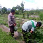 Dukungan Polri Bagi Petani Dusun Tegal: Langkah Nyata Kemandirian Pangan Jagaraga