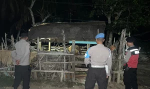 Polsek Sekotong Gencar Patroli Dini Hari, Fokus Amankan Ternak Warga