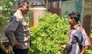 Optimalkan Lahan Kosong, Warga Senggigi Diedukasi Diversifikasi Pangan