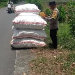 Peran Polisi di Balik Panen Jagung Sukses Petani Lombok Barat