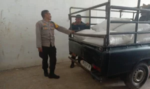 Polisi Turun ke Ladang, Pastikan Jagung Petani Lembar Terserap BULOG