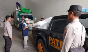 Jagung Petani Gerung Lolos Standar Bulog, Harga Aman dan Stabil