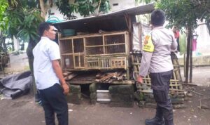 Motivasi Bhabinkamtibmas, Warga Nekat Bangun Kandang Ayam di Pekarangan