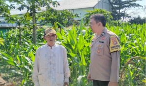 Sinergi Polsek Labuapi dan Warga Perkuat Pangan Lombok Barat