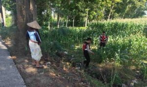Patroli Ketahanan Pangan: Sinergi Polres Lobar dan Petani Jagung