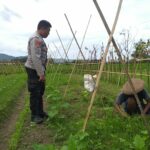 Sinergi Polri dan Petani Jagaraga Wujudkan Kemandirian Pangan