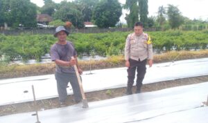 Aksi Nyata Bhabinkamtibmas Lombok Barat Dukung Ketahanan Pangan Nasional