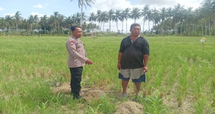 Pesan Polri: Lahan Kosong Adalah Kunci Ketahanan Pangan Desa