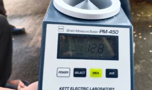 Jaga Stabilitas Pangan, Polsek Gerung Dampingi Penjualan Jagung