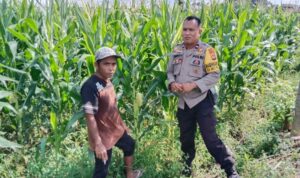 Polsek Labuapi Motivasi Petani di Desa Bagik Polak